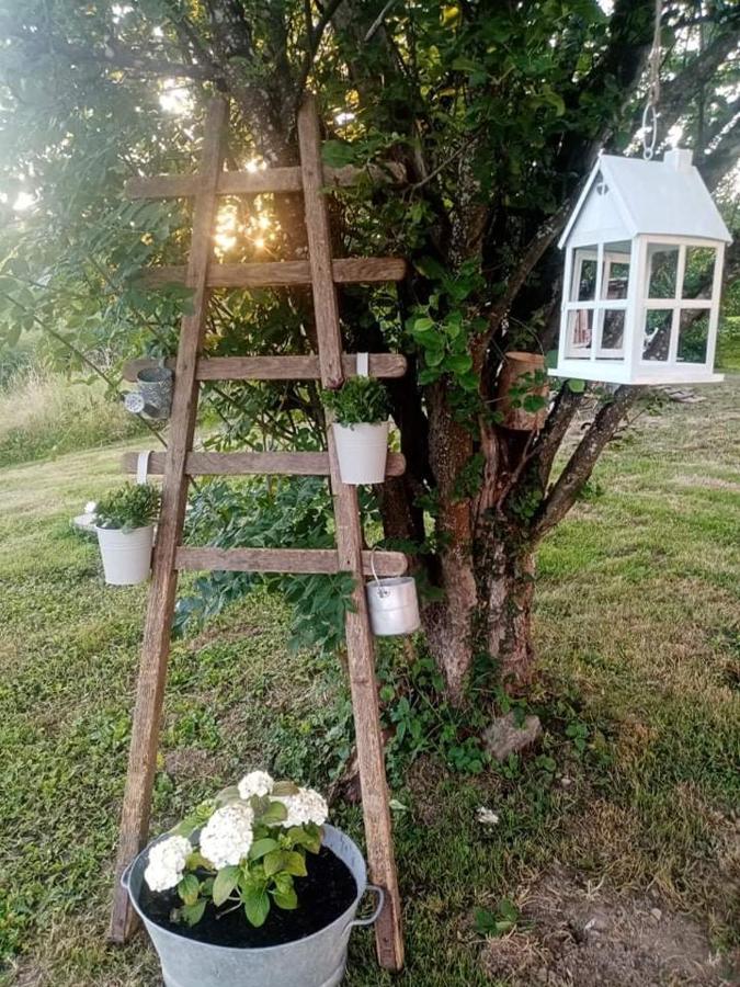 Gite Ferme La Rosee Blanche Laveline エクステリア 写真